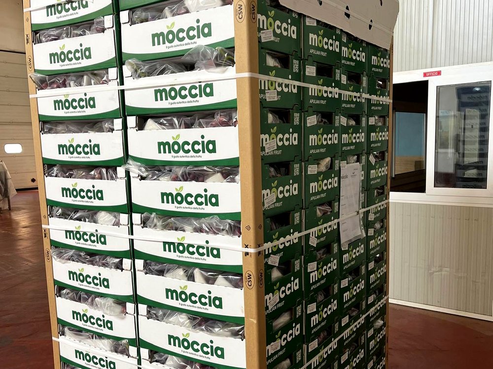 Pallet di cassette Moccia pronte per la spedizione